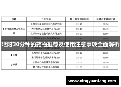延时30分钟的药物推荐及使用注意事项全面解析