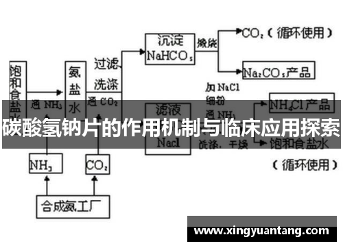 碳酸氢钠片的作用机制与临床应用探索